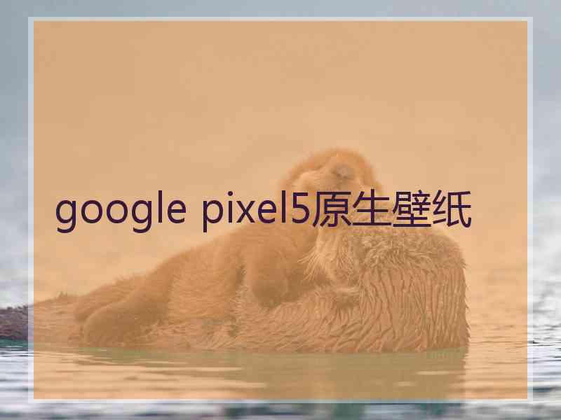 google pixel5原生壁纸