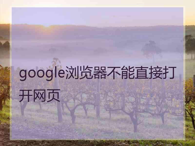 google浏览器不能直接打开网页