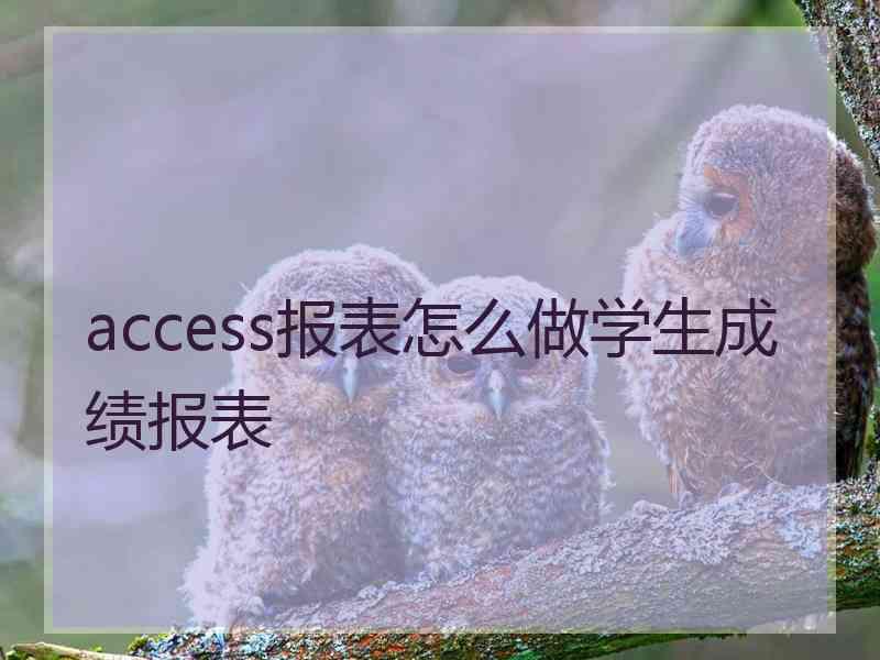 access报表怎么做学生成绩报表