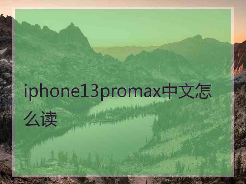 iphone13promax中文怎么读