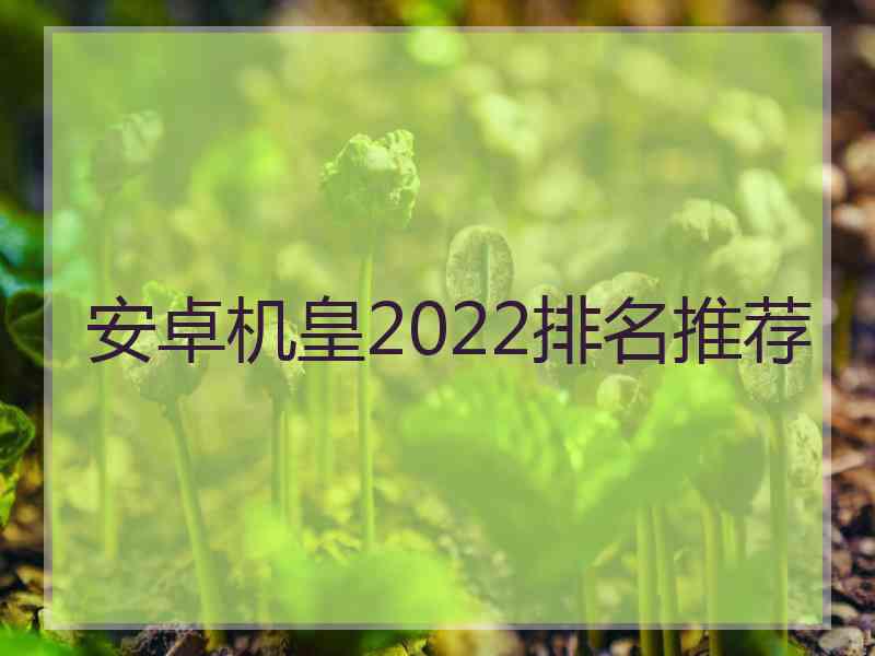 安卓机皇2022排名推荐