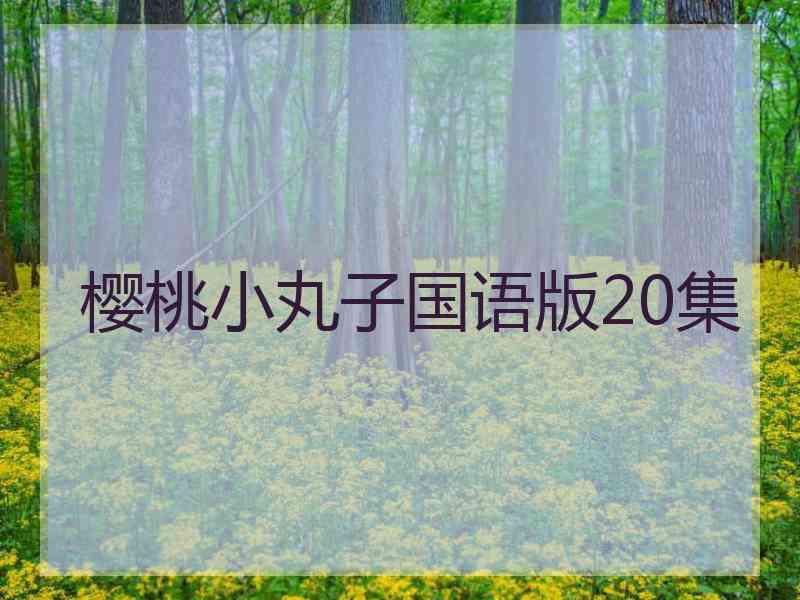 樱桃小丸子国语版20集