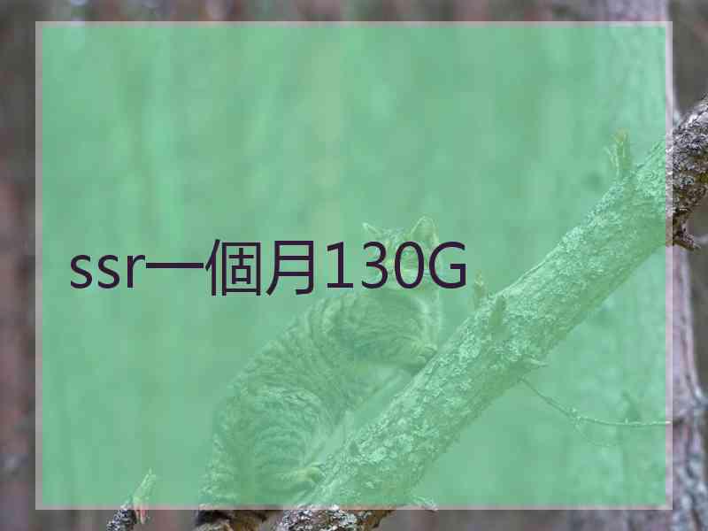 ssr一個月130G