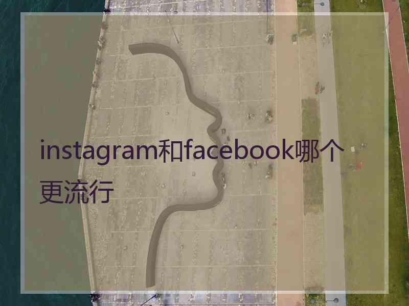 instagram和facebook哪个更流行