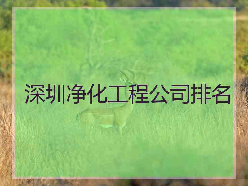 深圳净化工程公司排名