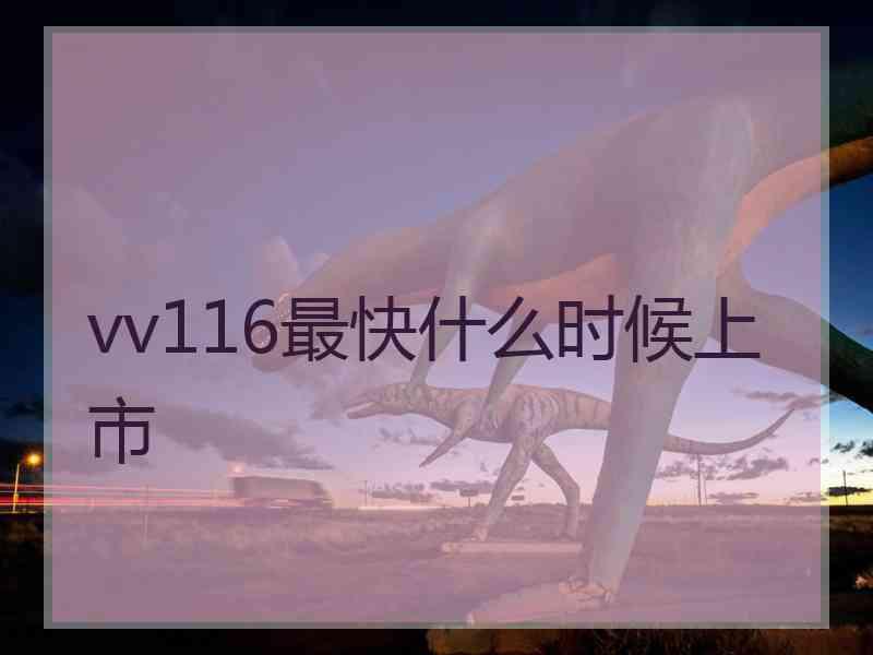 vv116最快什么时候上市