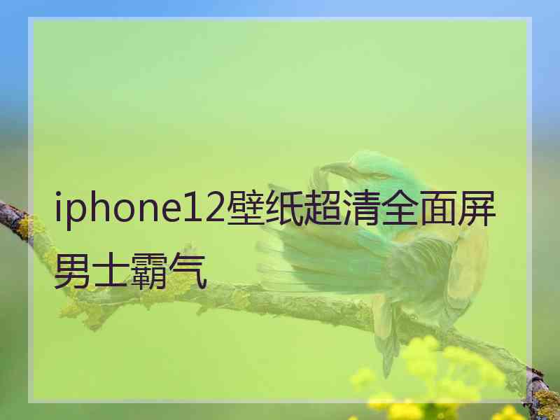 iphone12壁纸超清全面屏男士霸气