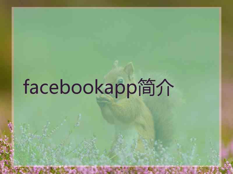 facebookapp简介