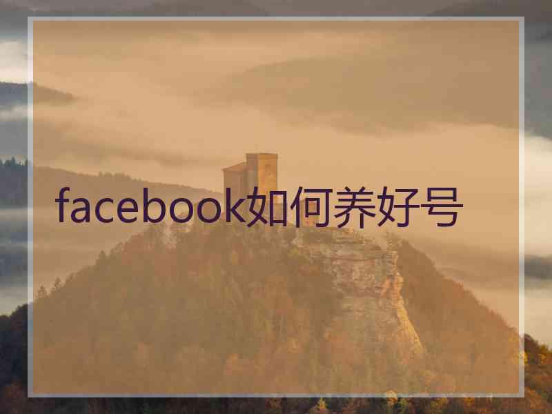 facebook如何养好号