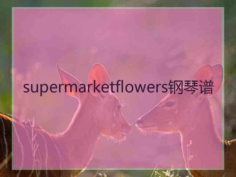 supermarketflowers钢琴谱