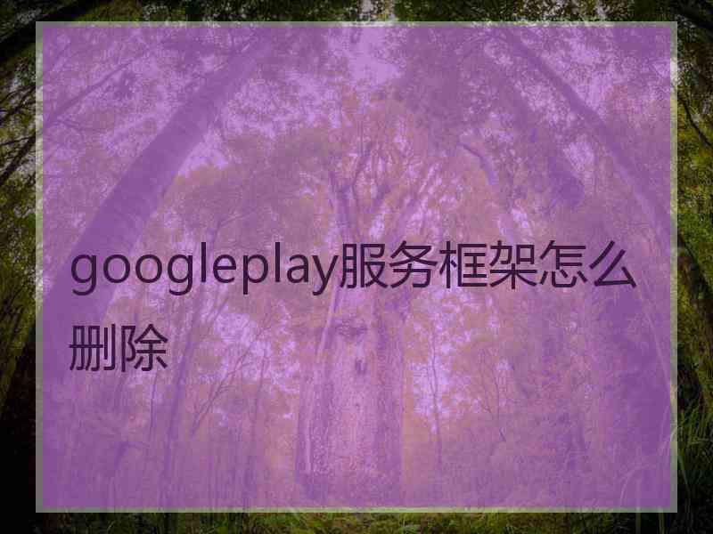 googleplay服务框架怎么删除