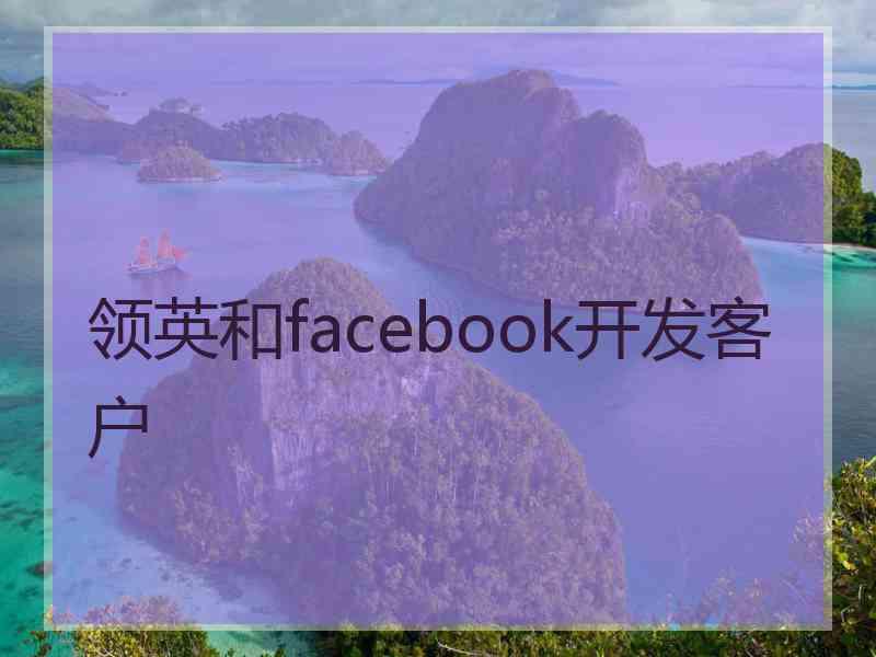 领英和facebook开发客户