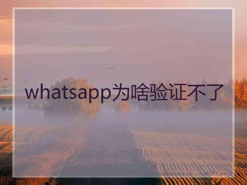 whatsapp为啥验证不了