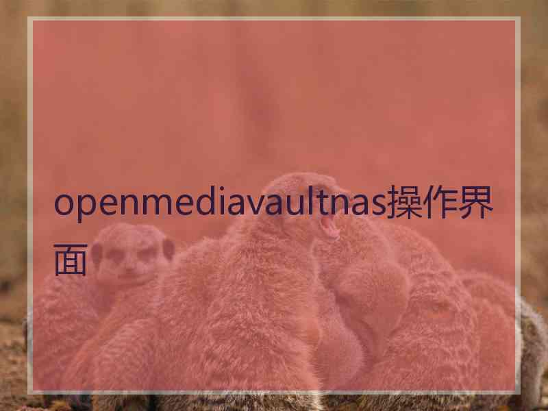 openmediavaultnas操作界面