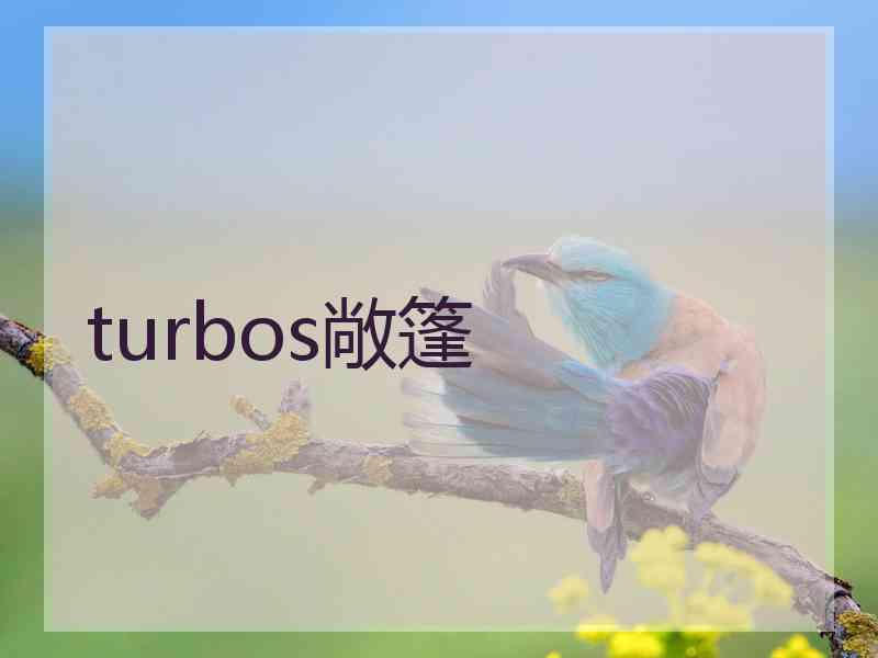 turbos敞篷