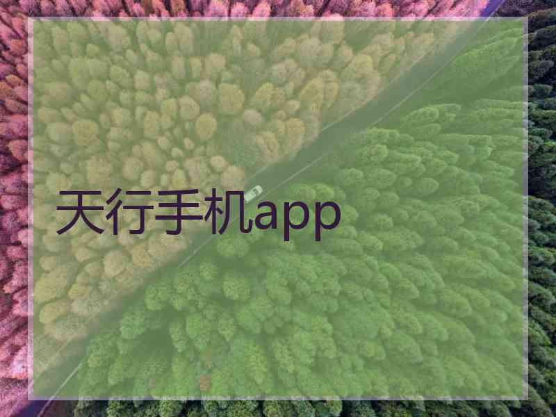 天行手机app