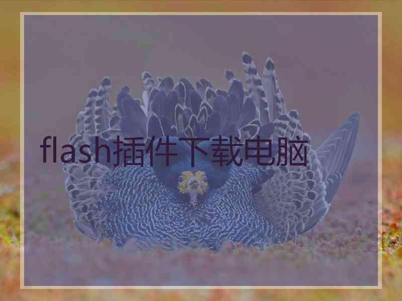 flash插件下载电脑