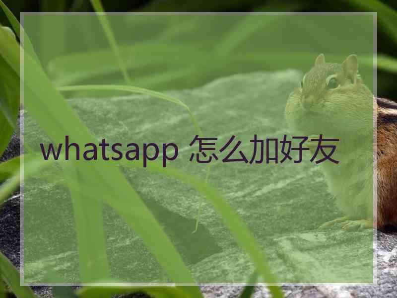 whatsapp 怎么加好友