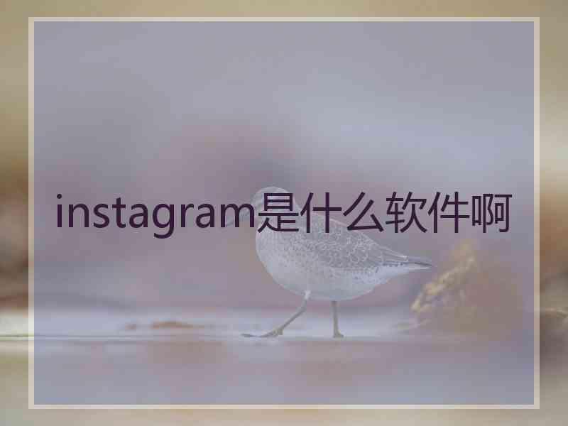 instagram是什么软件啊