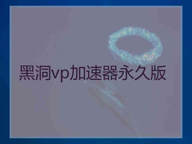 黑洞vp加速器永久版