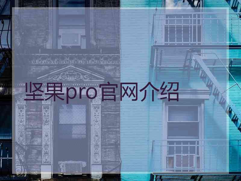 坚果pro官网介绍