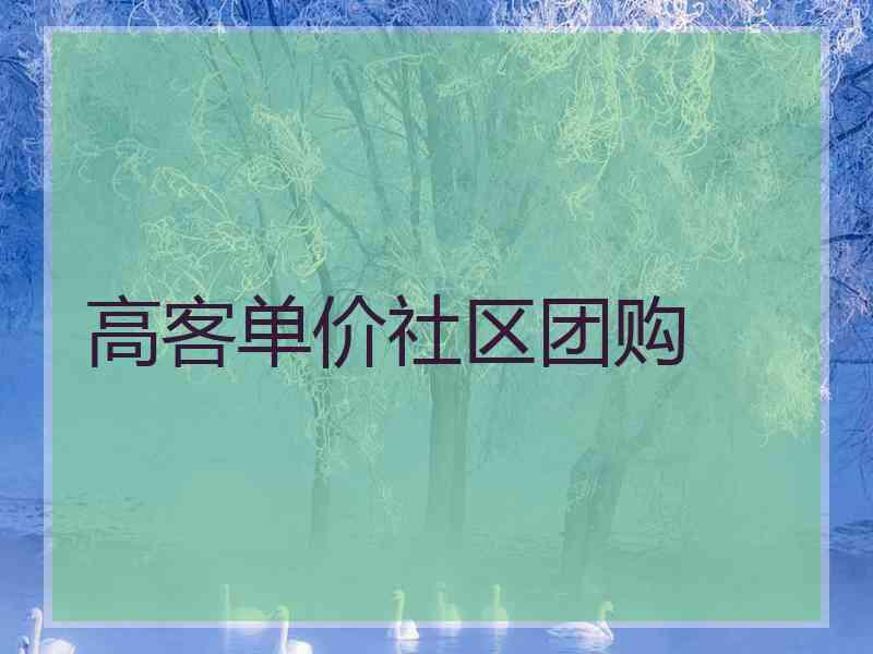 高客单价社区团购