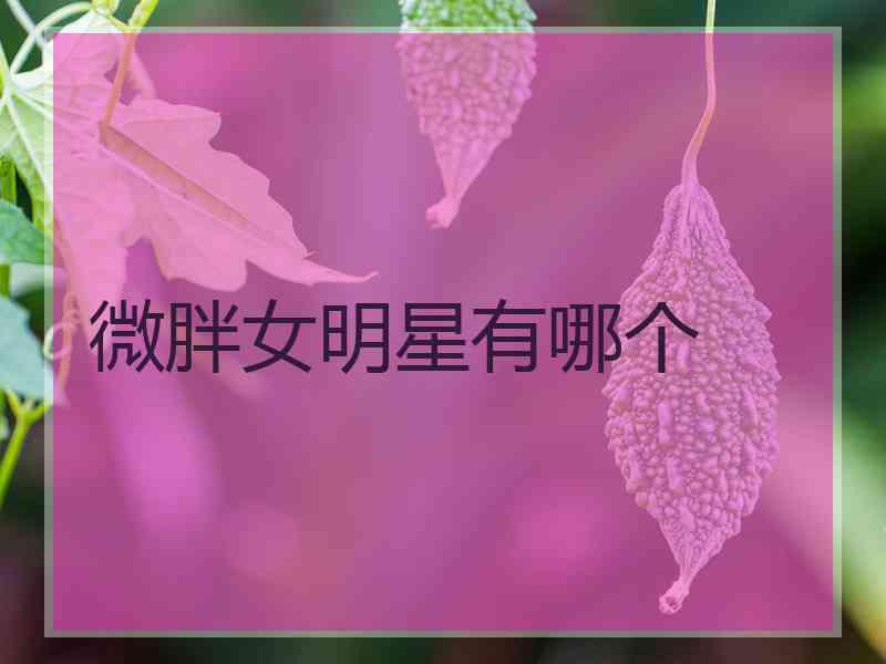 微胖女明星有哪个