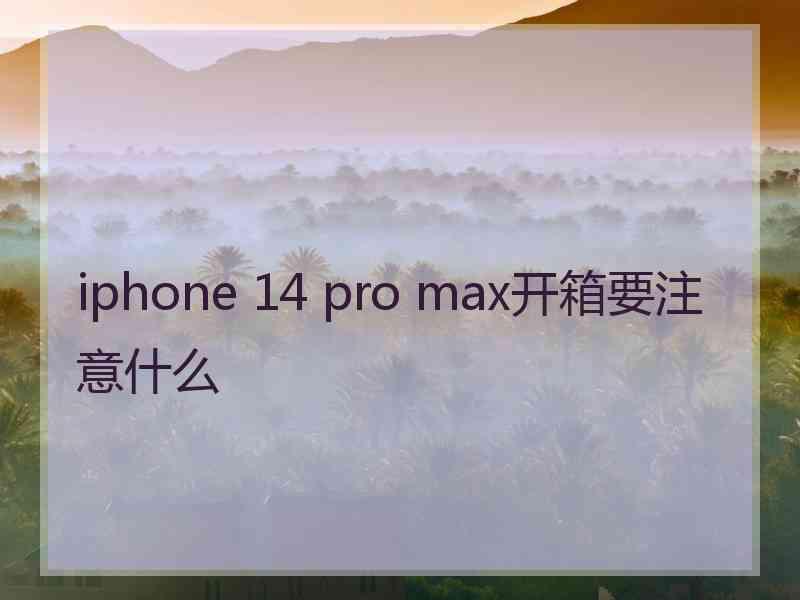 iphone 14 pro max开箱要注意什么