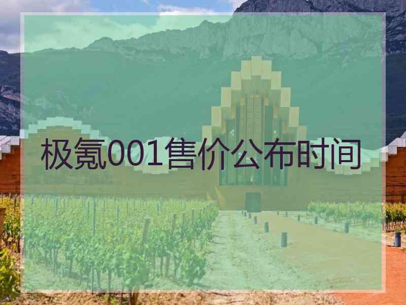 极氪001售价公布时间