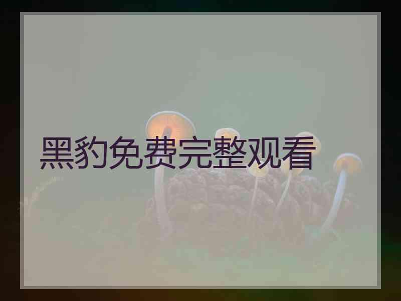 黑豹免费完整观看