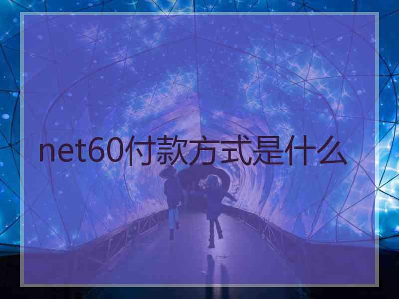 net60付款方式是什么