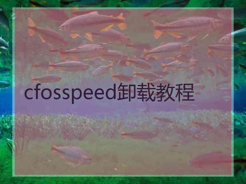 cfosspeed卸载教程