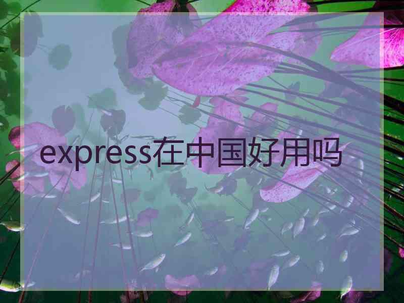 express在中国好用吗