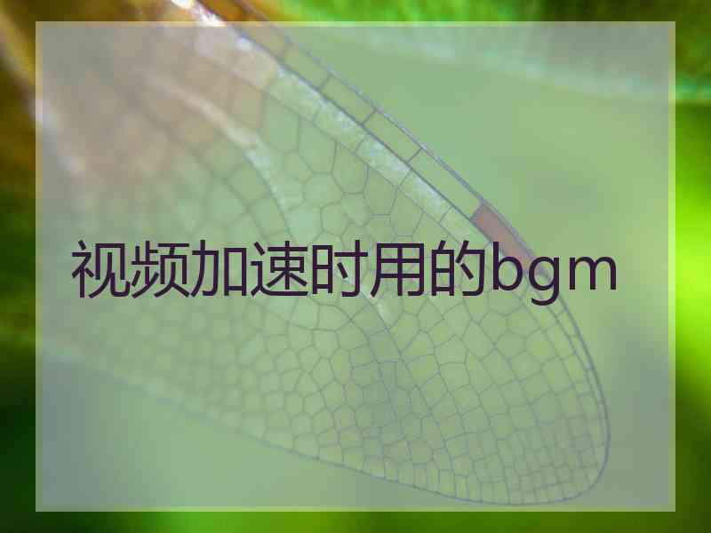 视频加速时用的bgm