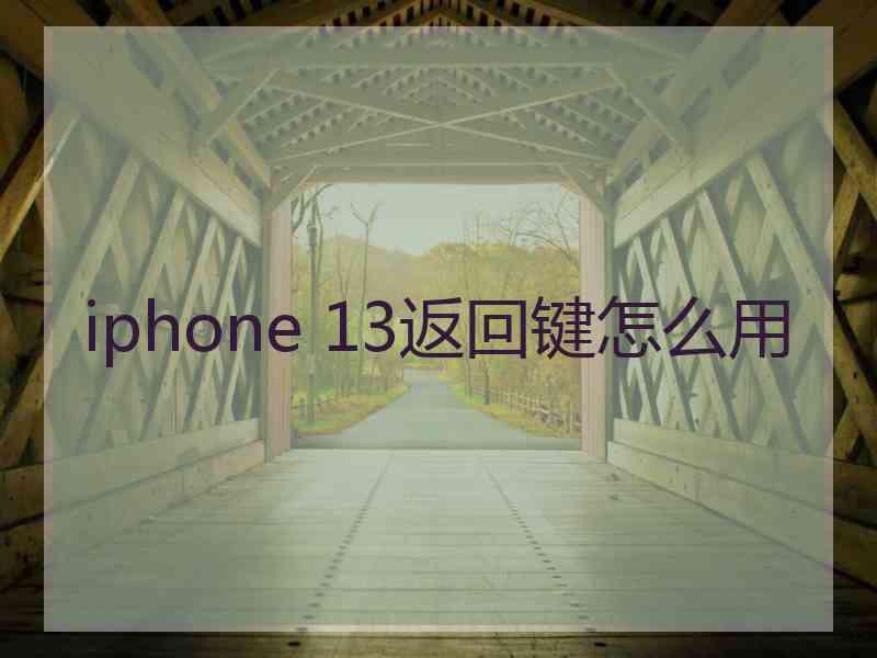 iphone 13返回键怎么用