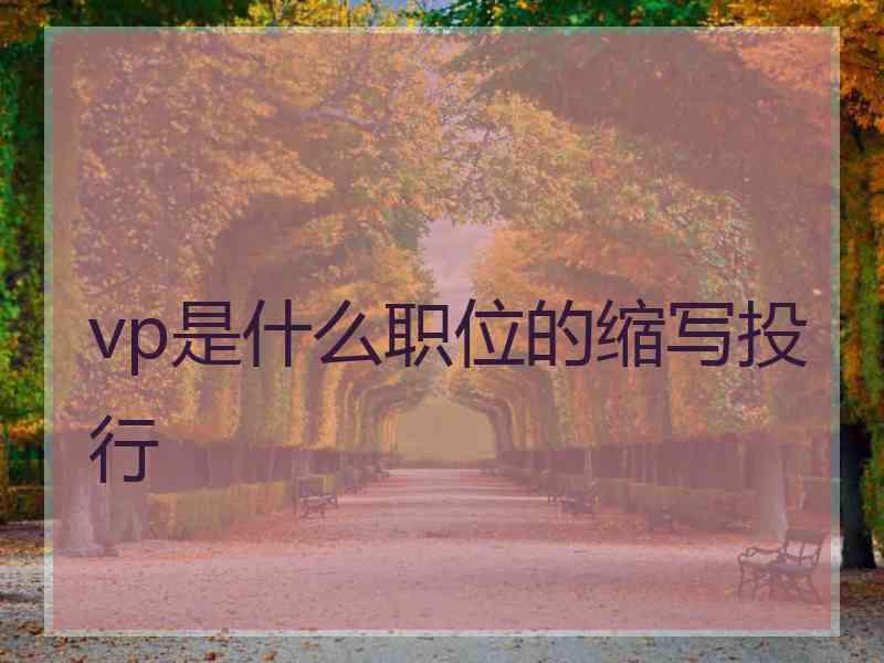 vp是什么职位的缩写投行