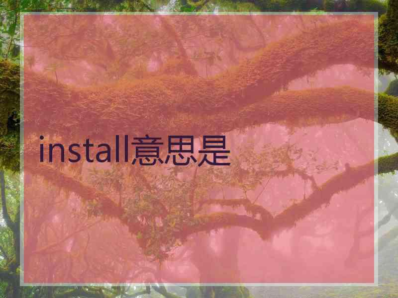 install意思是