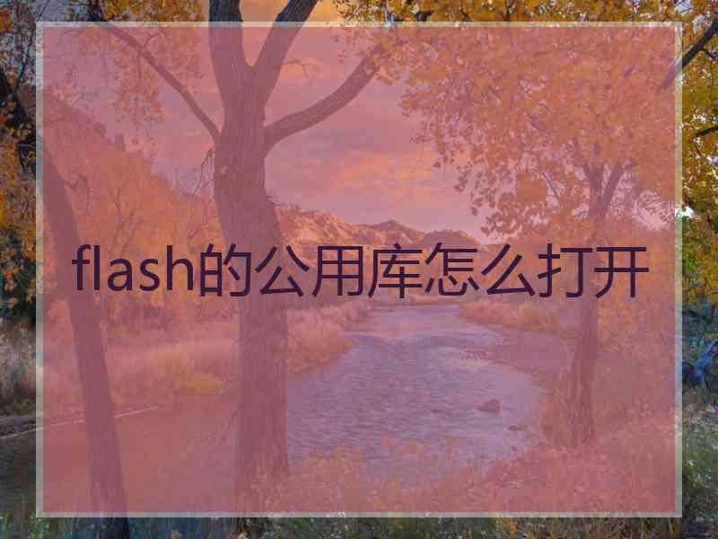 flash的公用库怎么打开