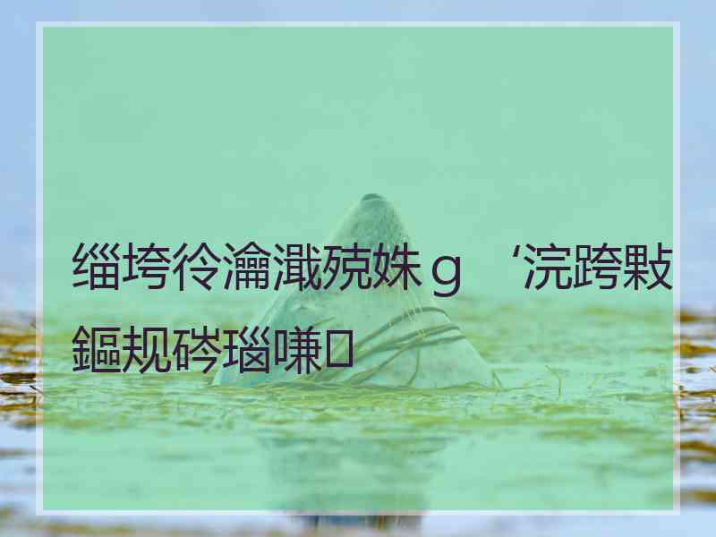 缁垮彾瀹濈殑姝ｇ‘浣跨敤鏂规硶瑙嗛