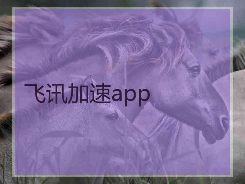 飞讯加速app