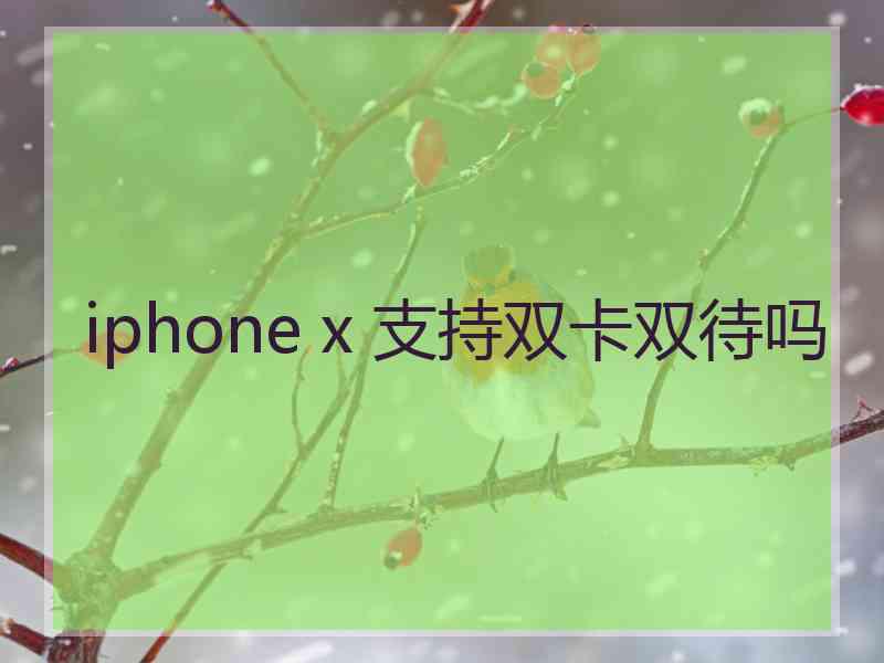 iphone x 支持双卡双待吗