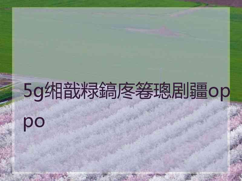 5g缃戠粶鎬庝箞璁剧疆oppo