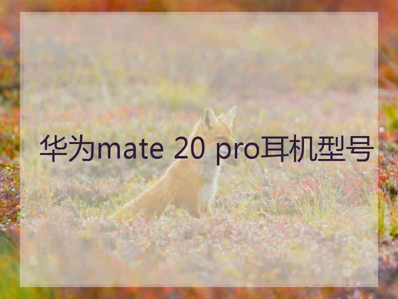 华为mate 20 pro耳机型号