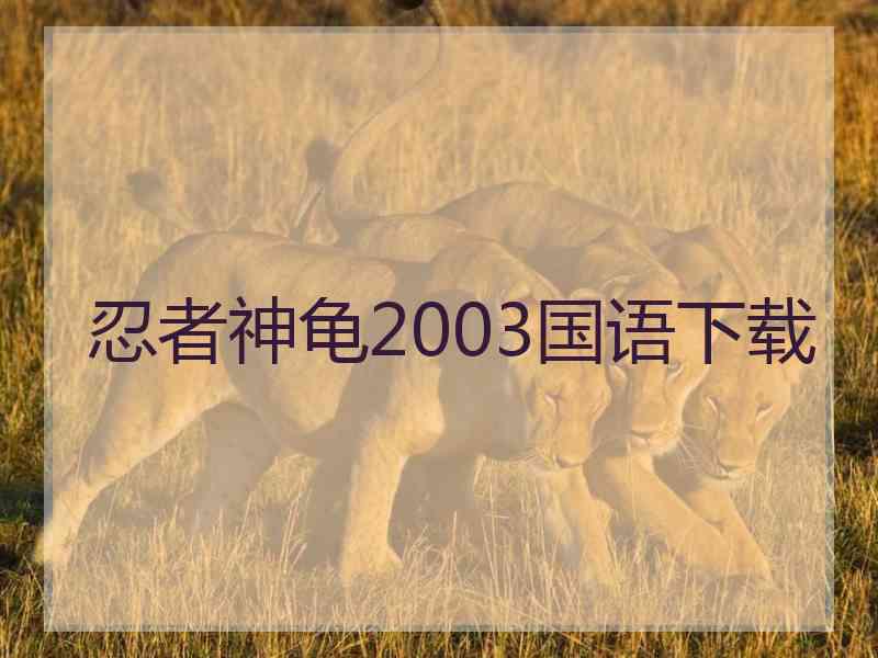 忍者神龟2003国语下载