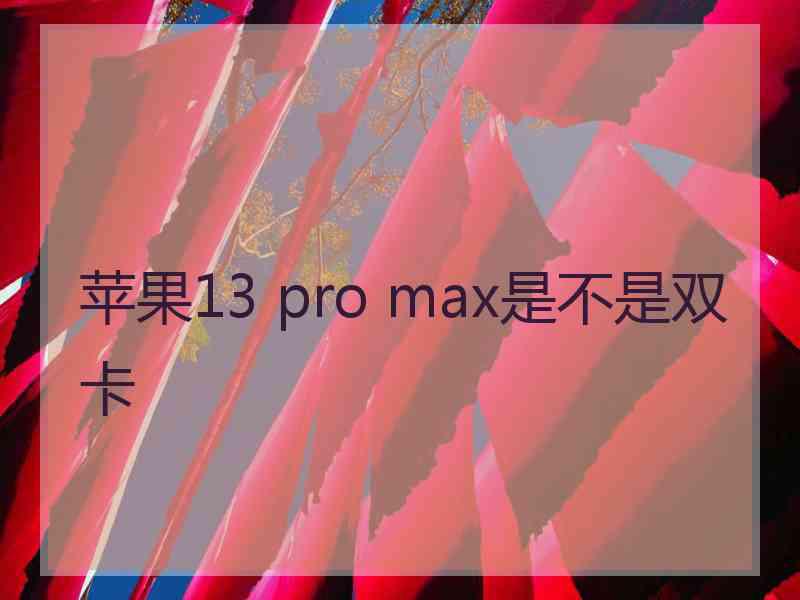 苹果13 pro max是不是双卡