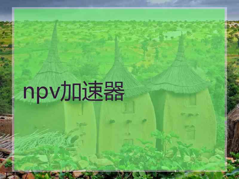 npv加速器