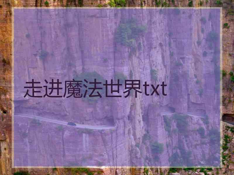 走进魔法世界txt