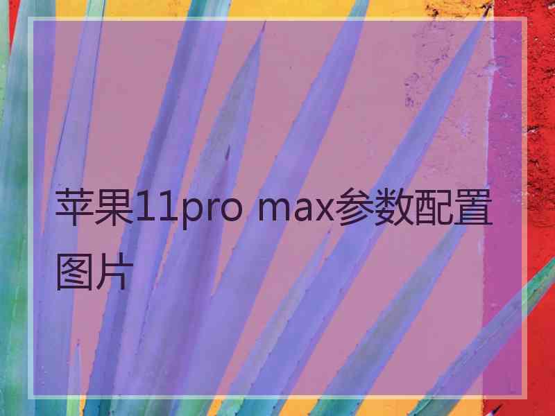 苹果11pro max参数配置图片