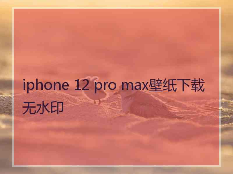 iphone 12 pro max壁纸下载无水印