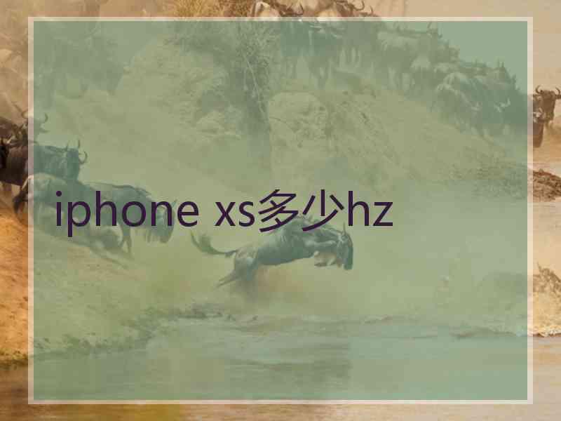 iphone xs多少hz